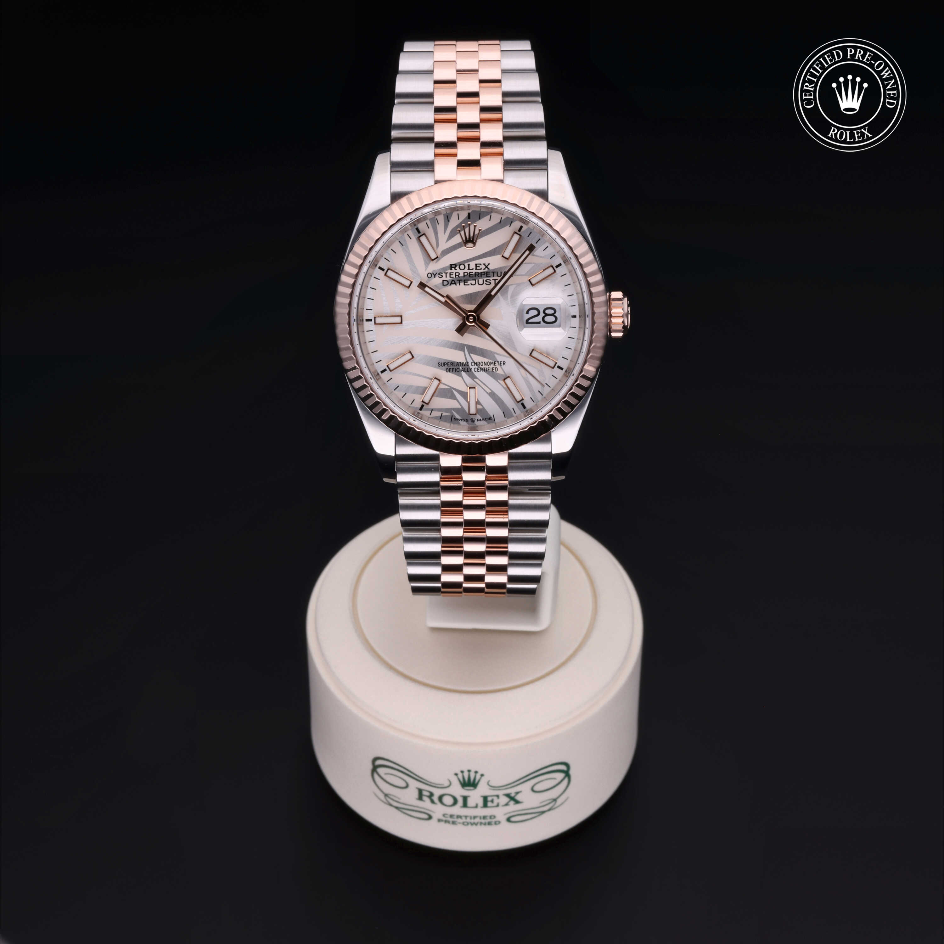 Rolex Datejust in Rolesor 18 Carat Red M126231-0031 at Gruno's Diamonds